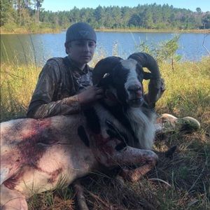 Meet your Posher, Bill